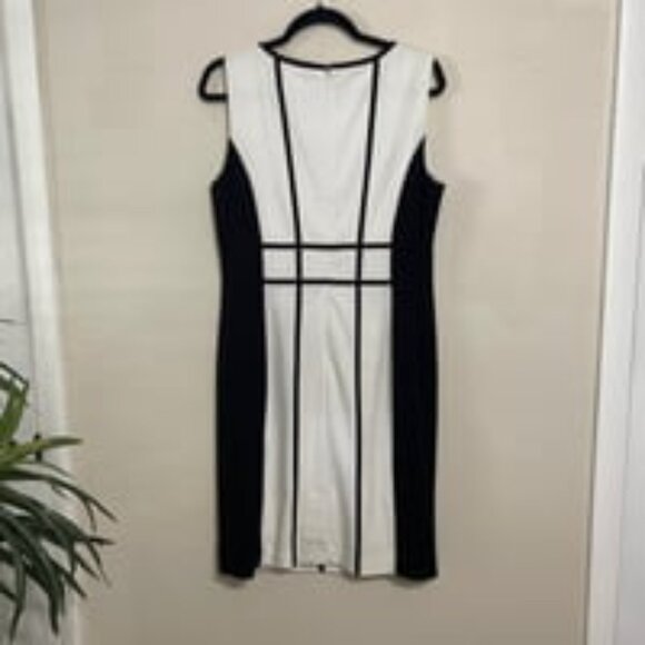 Colorblock Stripe Sleeveless Midi Sheath - Picture 4 of 4